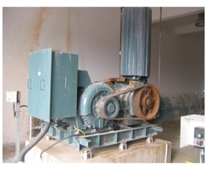 羅茨鼓風(fēng)機